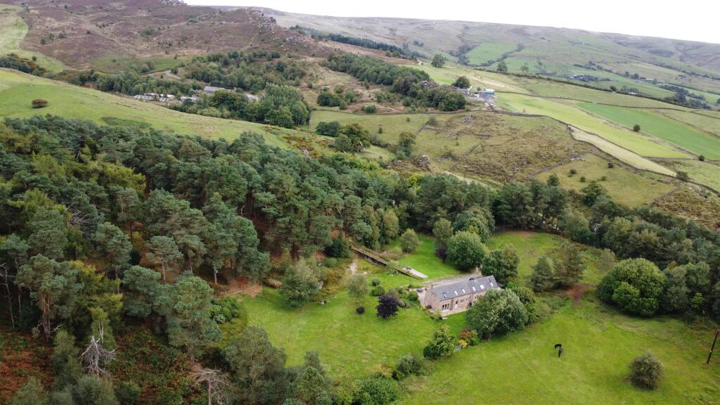 DJI_0891 2.JPG