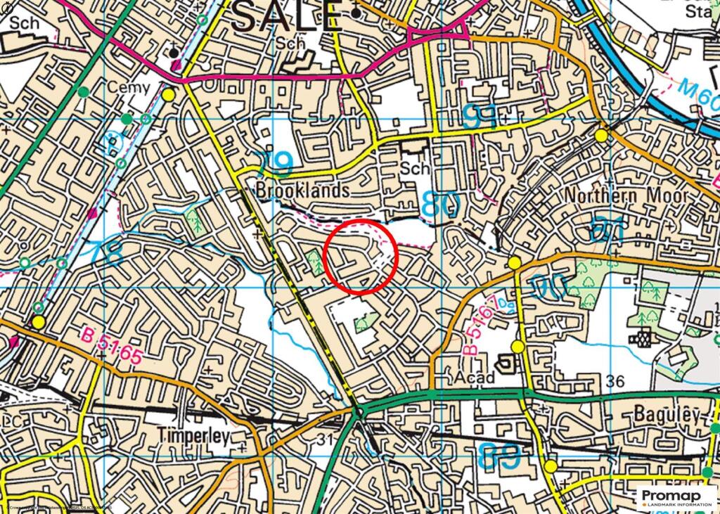 Town Plan