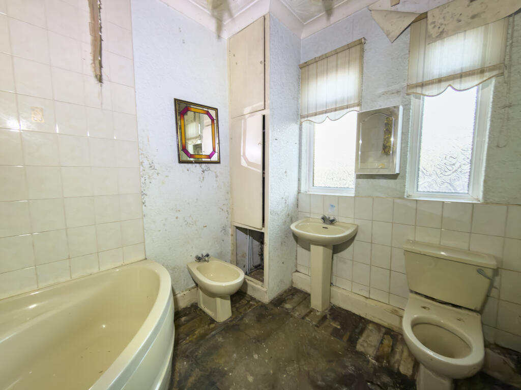 IMG 9300 T202512121005.jpg