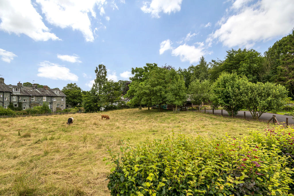 View from Garden