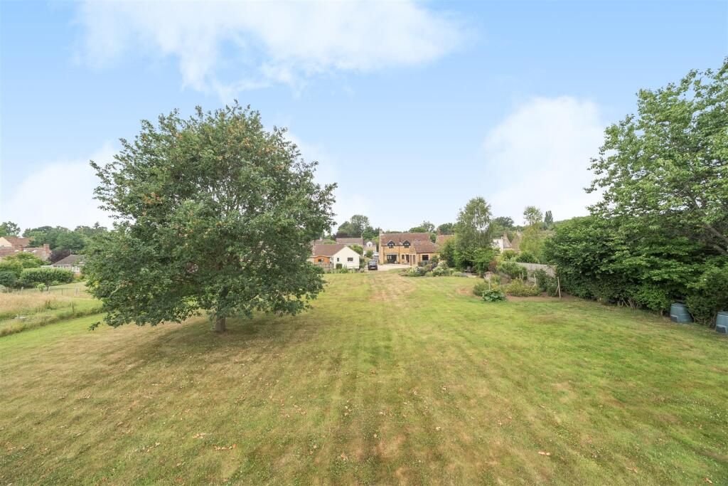 Garden looking back to the house