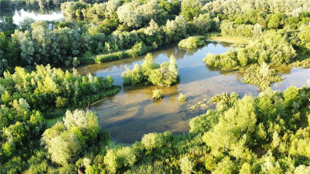 Lake 95