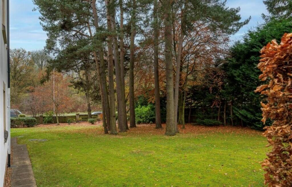 Communal Grounds.jpg