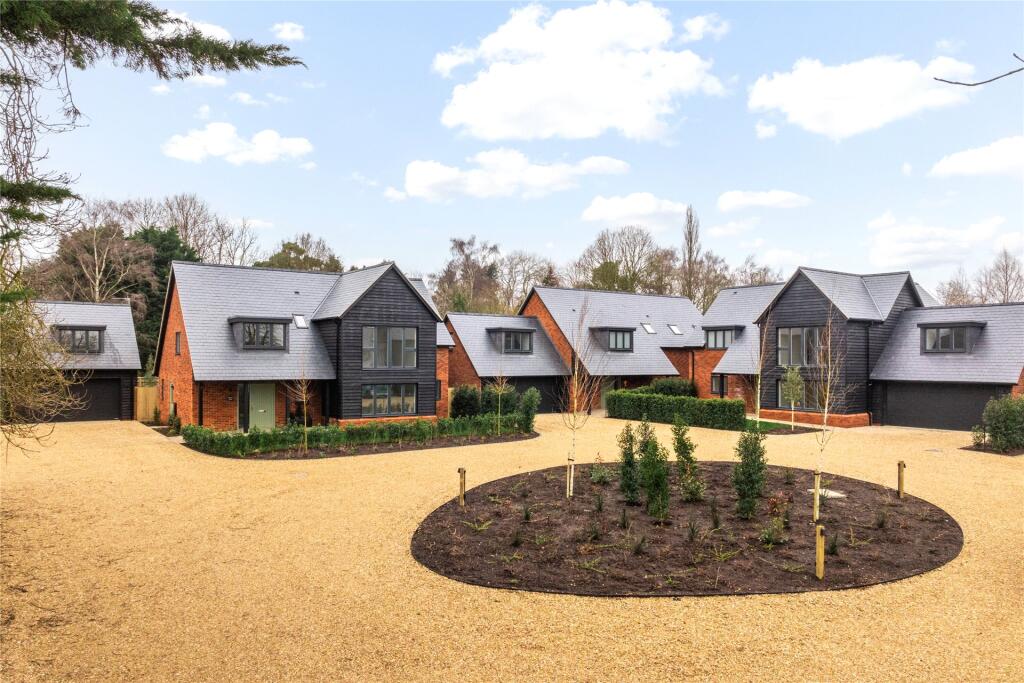 The Paddocks