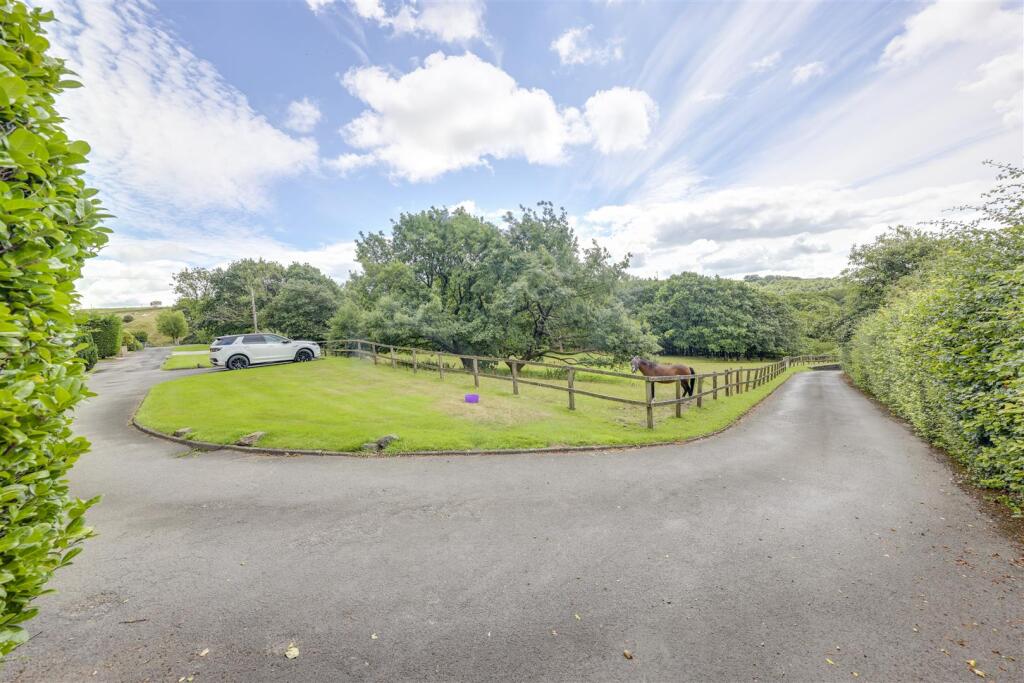 Driveway &amp; Front Paddock