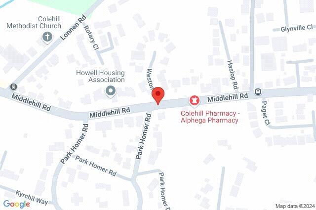 Google Maps Image