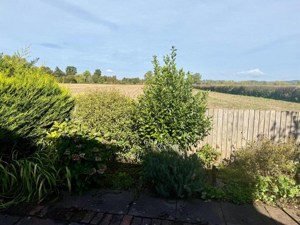 WhatsApp Image 2025-09-29 at 23.28.40_125e787c.jpg