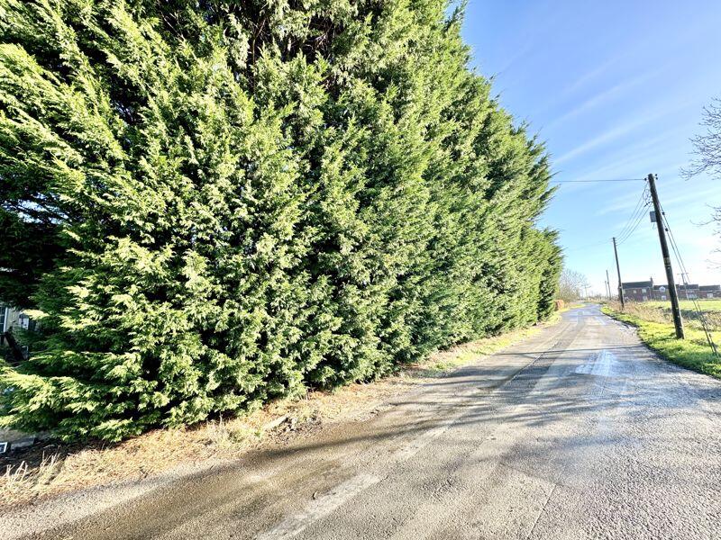 External street view