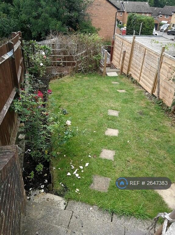 Rear Garden 2