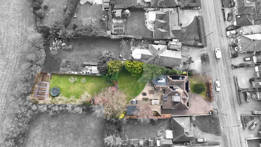 B&amp;W birdseye