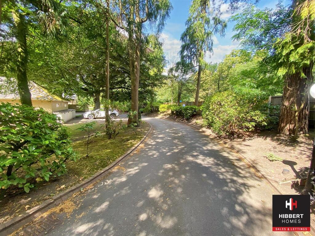driveway.jpg