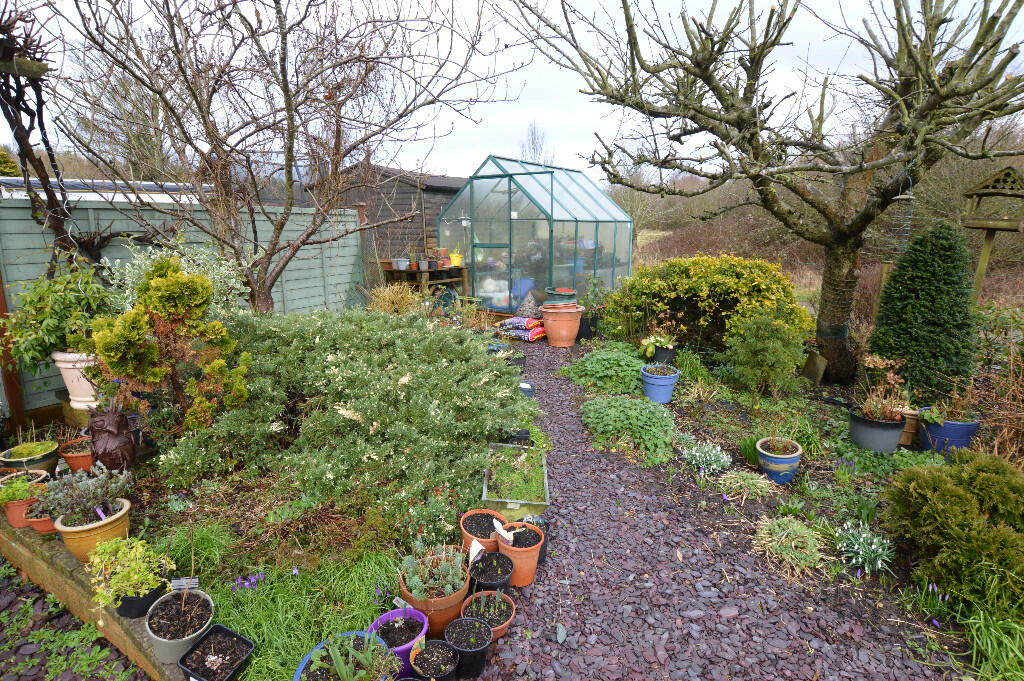 Landscaped Garden