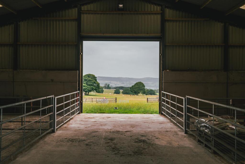 Agricultural Barn 2