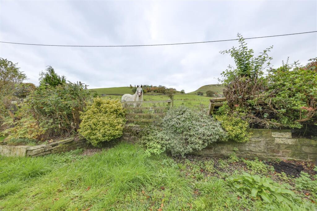 Rear Garden &amp; View