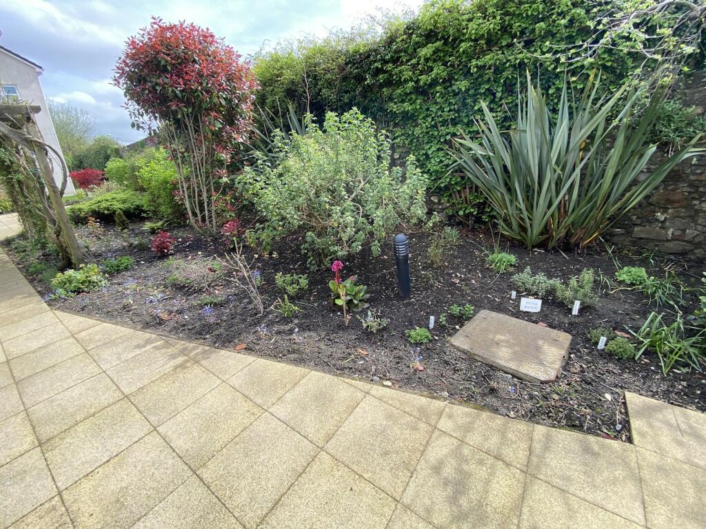 Communal Area