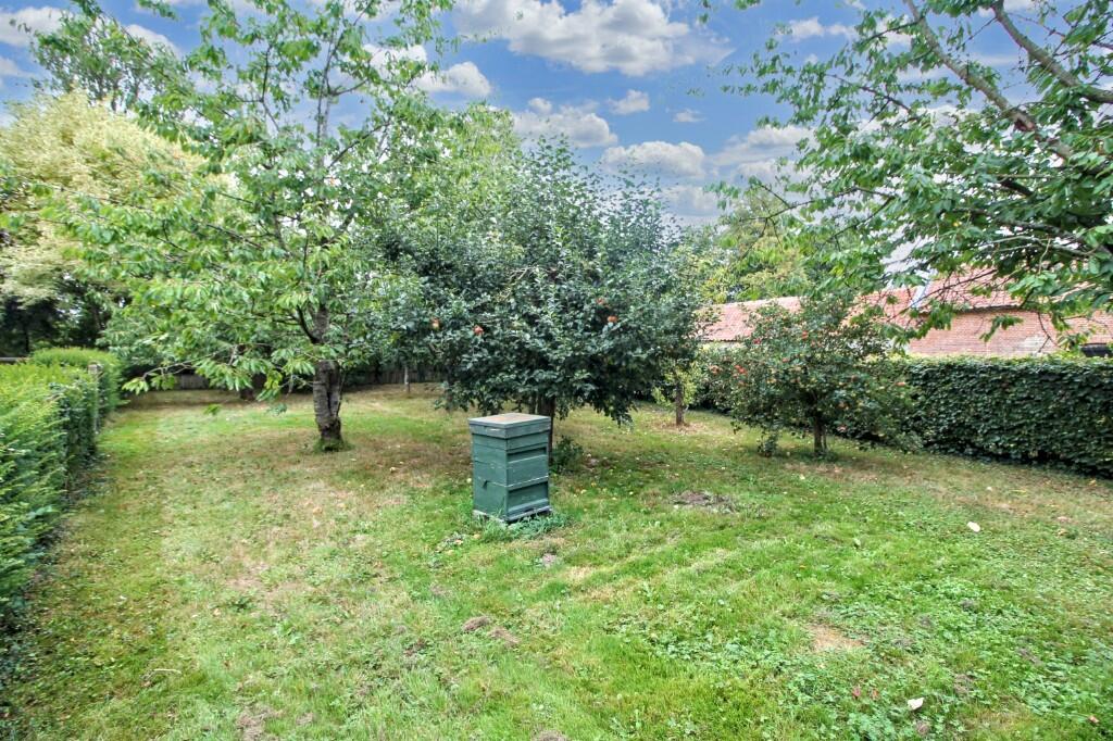 Orchard