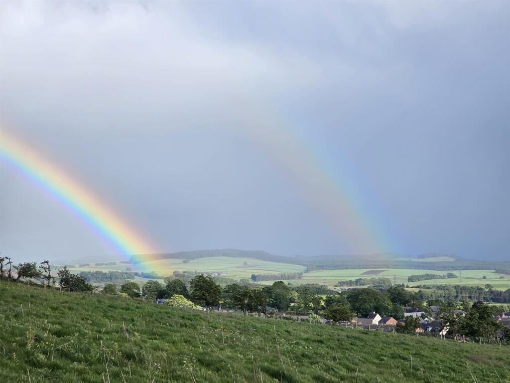 Cold Springs Community Nature Reserve