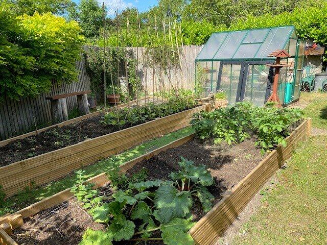 Vegetable Garden