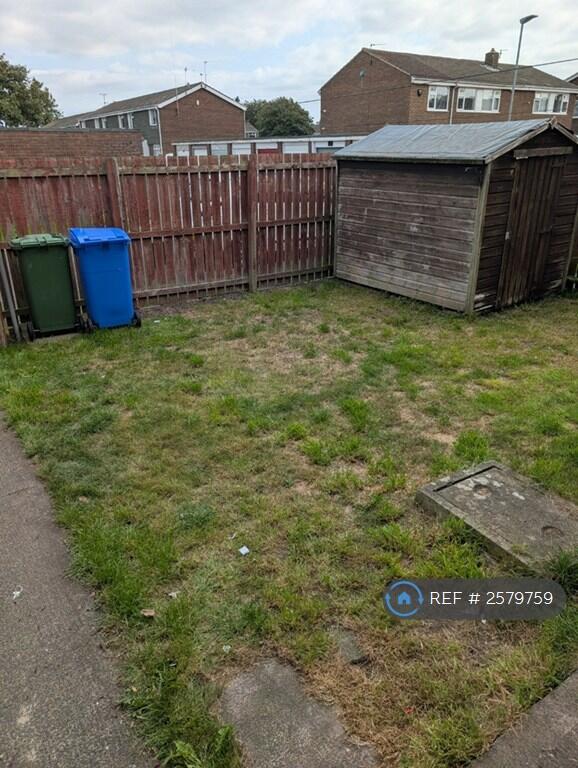Back Garden