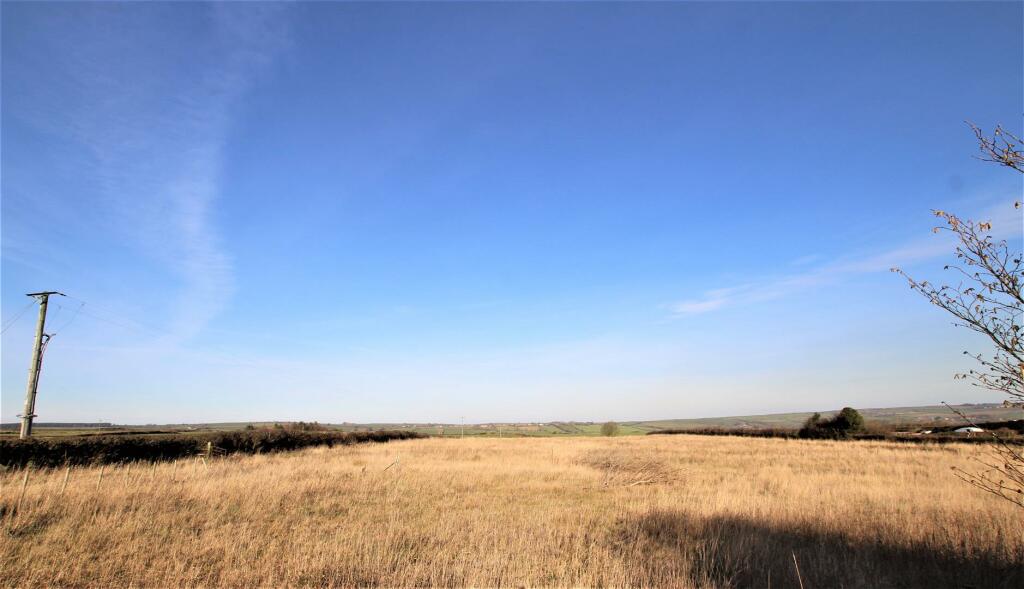 FIELD AT REAR OF GARDEN.jpg