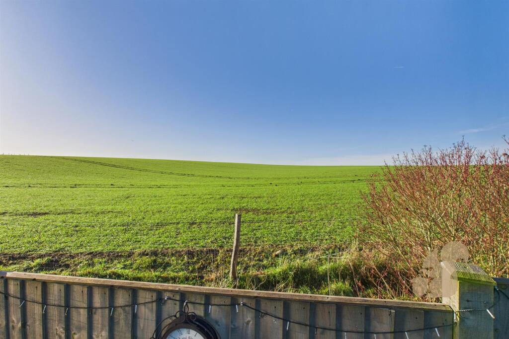 Field View