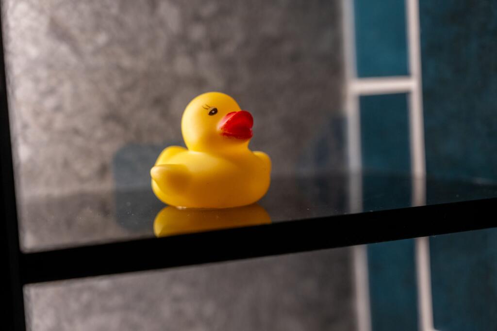 Downstairs Shower Room