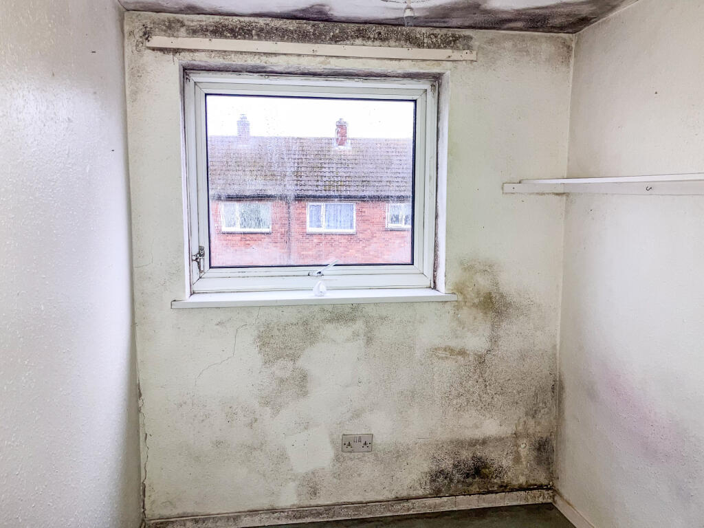 6 T202511051727.jpg