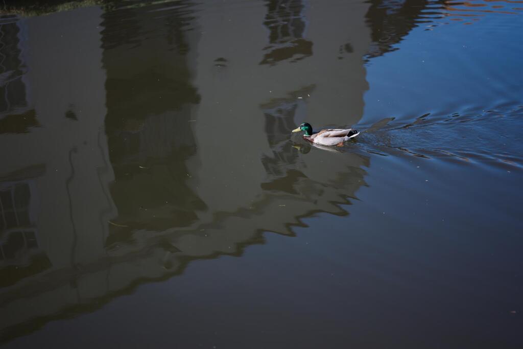 DSC_4168.jpg