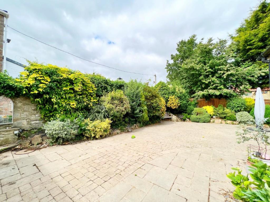 Garden 2.jpg