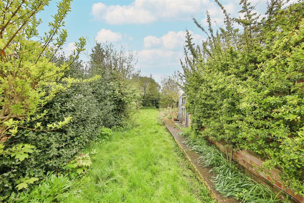 Garden.jpg
