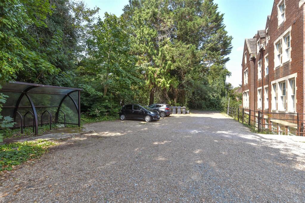 Driveway/Parking