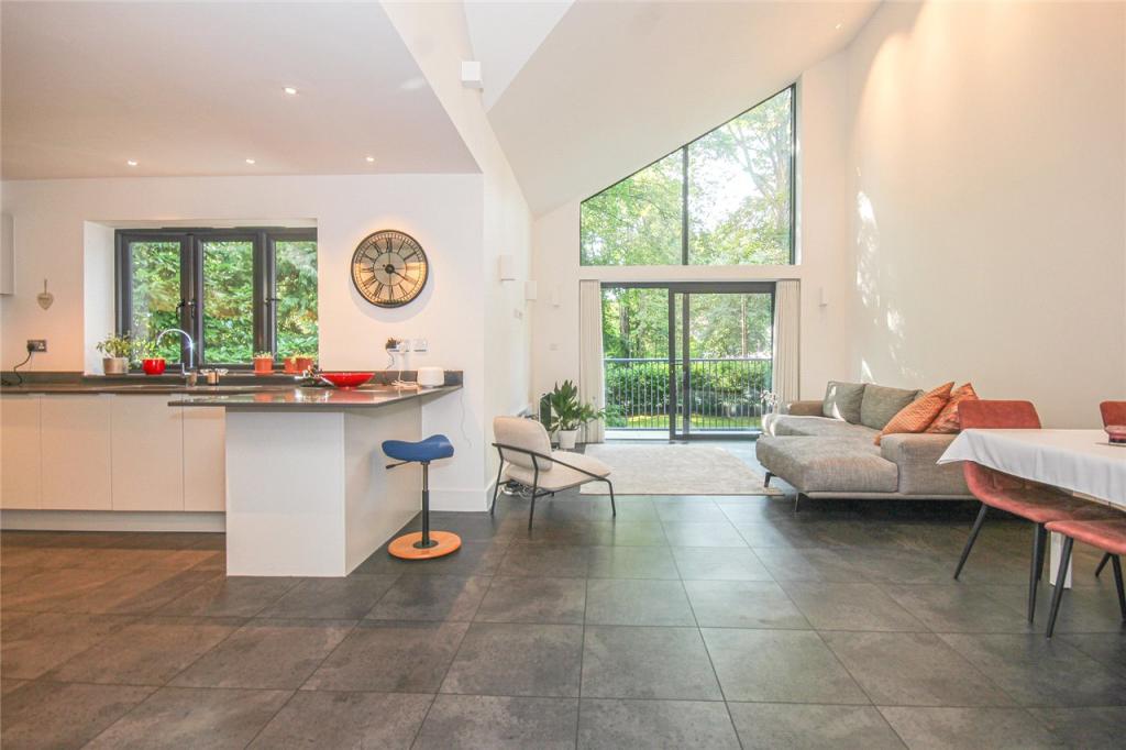 Living/Kitchen Area