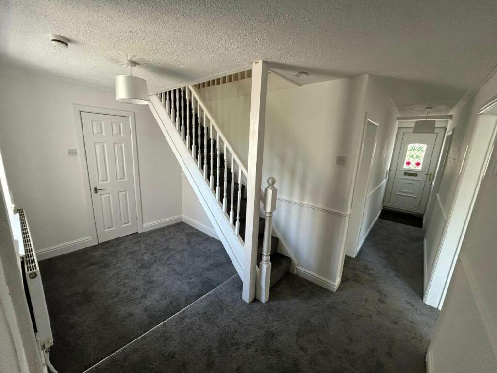 pic 11