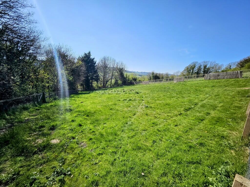 Paddock/ bottom F...