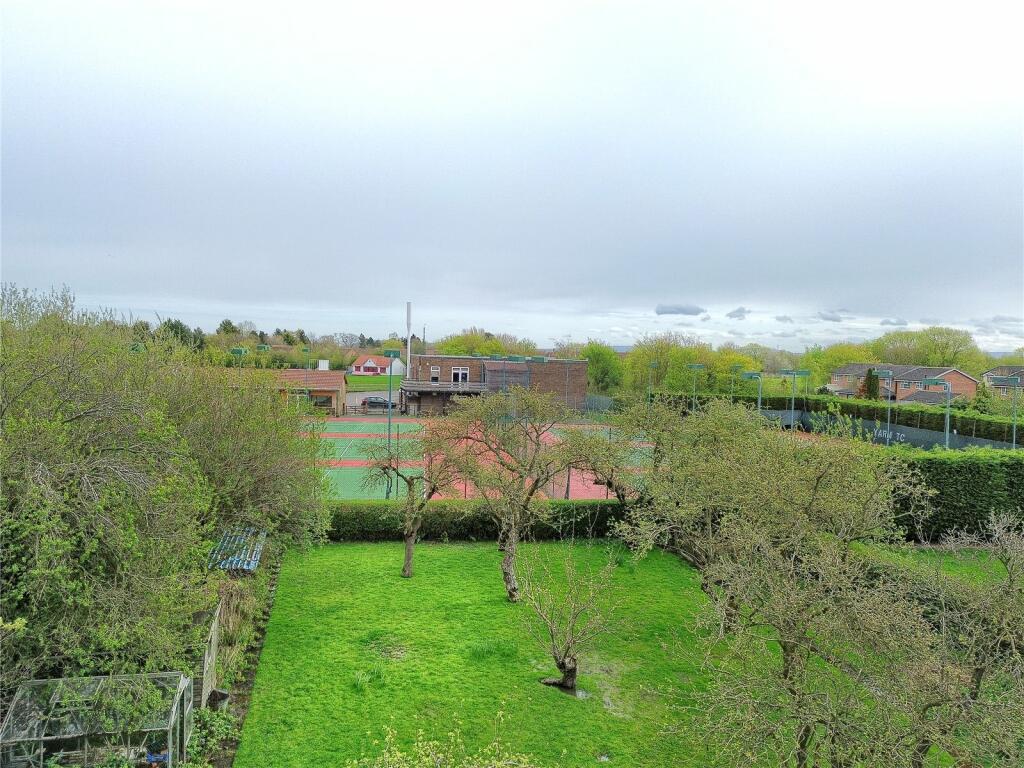 Picture No. 11