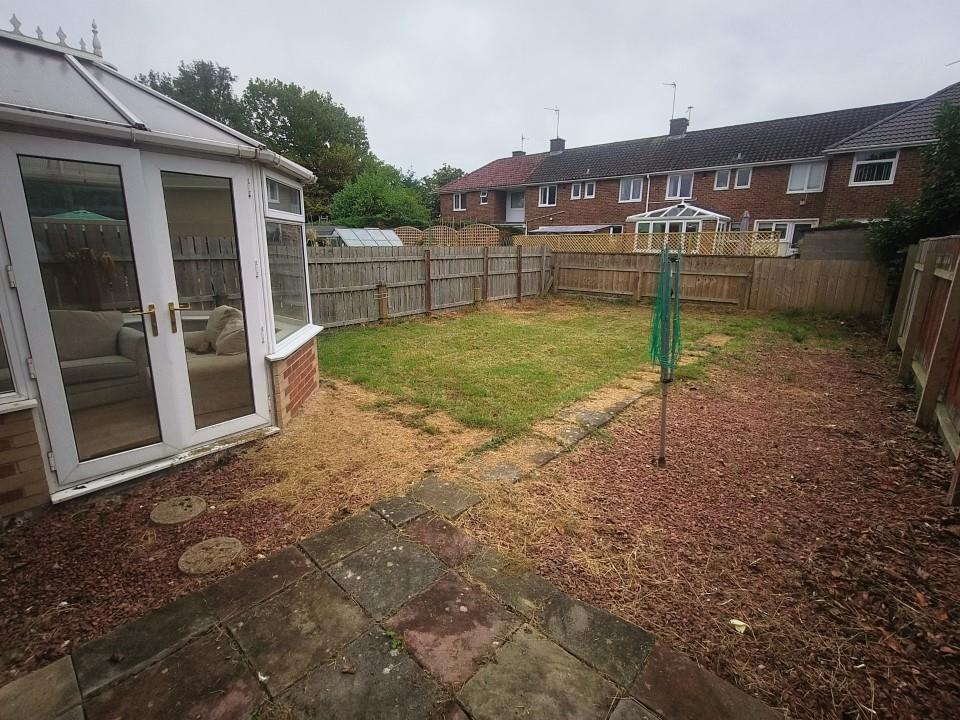 garden 2.jpg