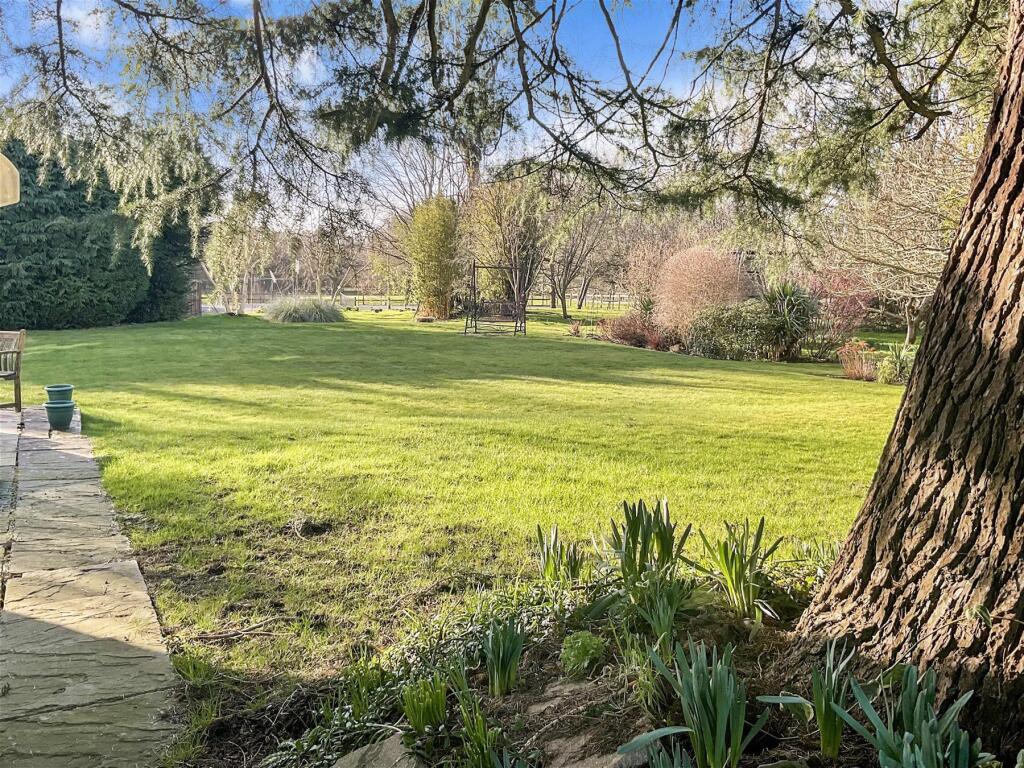 Garden 10