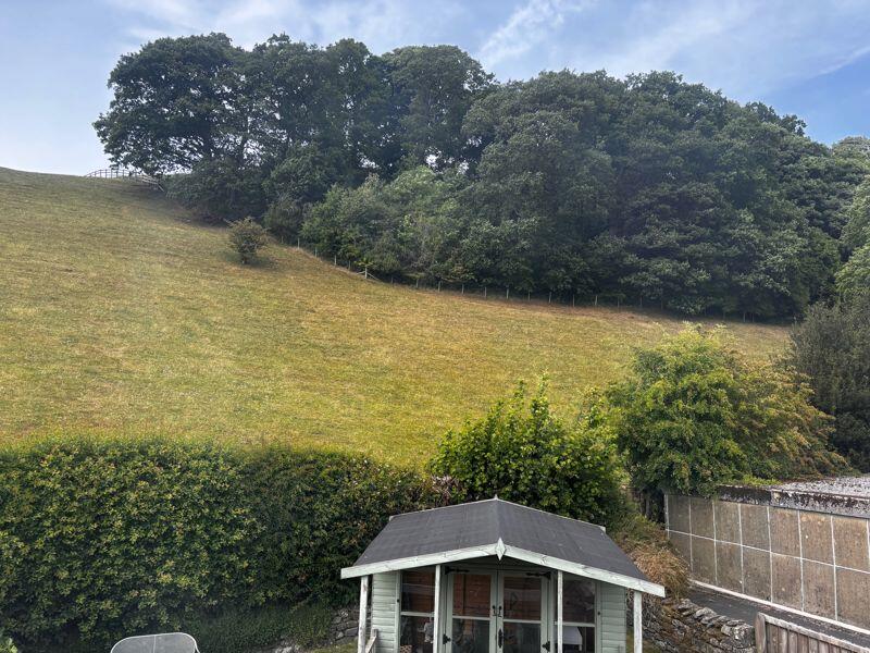 View from garden 