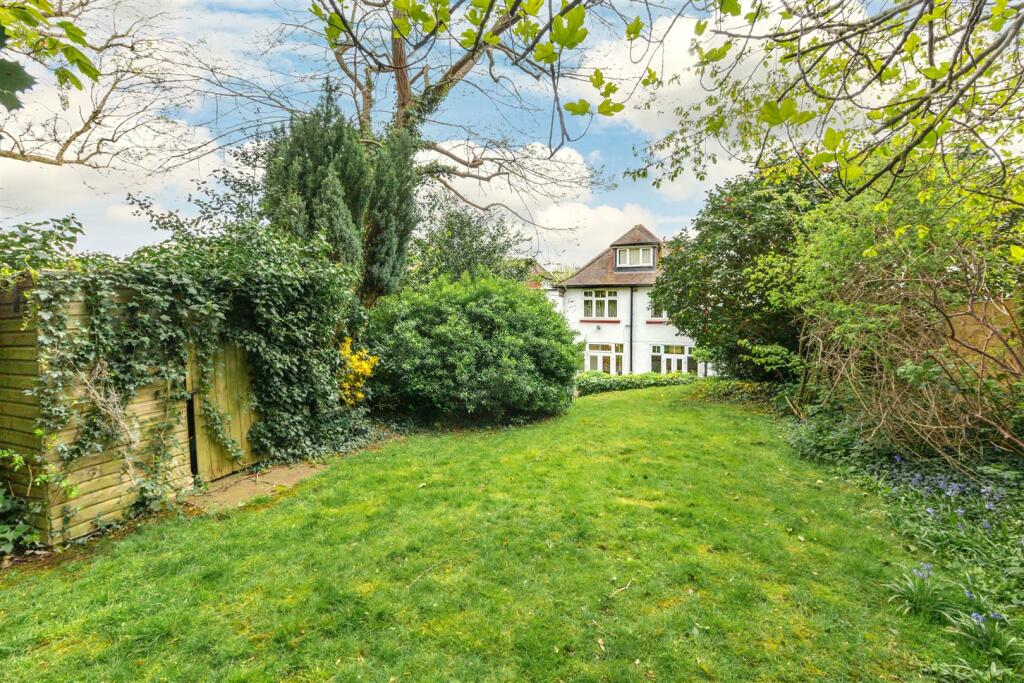 rear garden.jpg