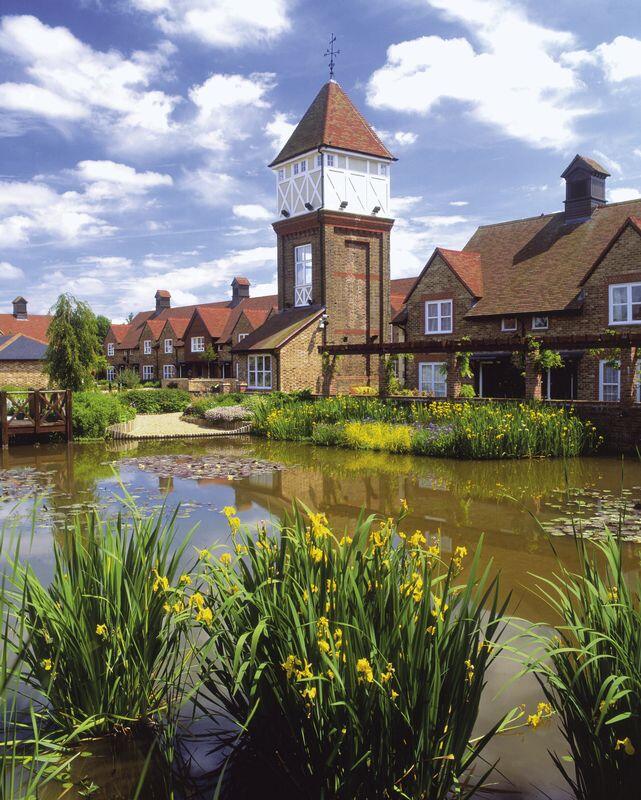 Bluecoat Pond
