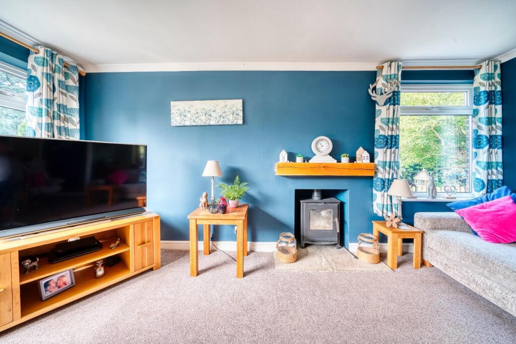 4 - log burner.jpeg