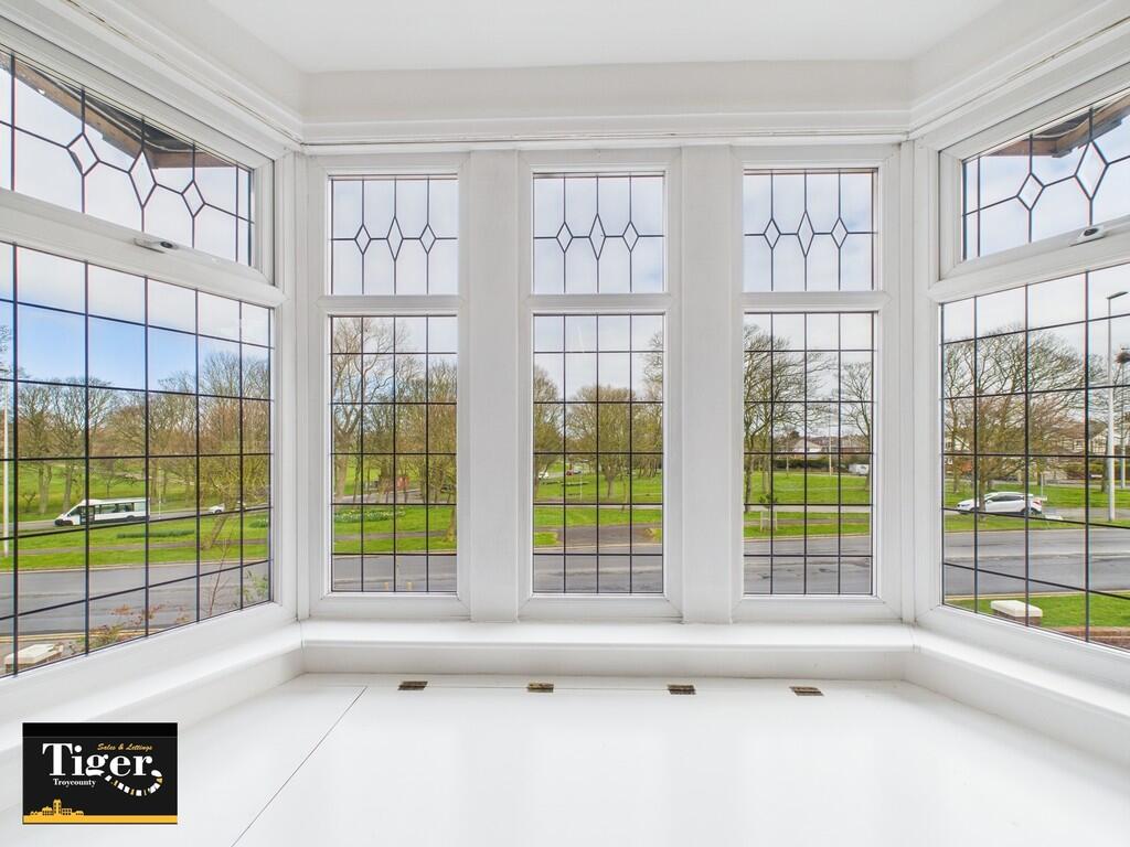 CAM02176G0-PR0528...