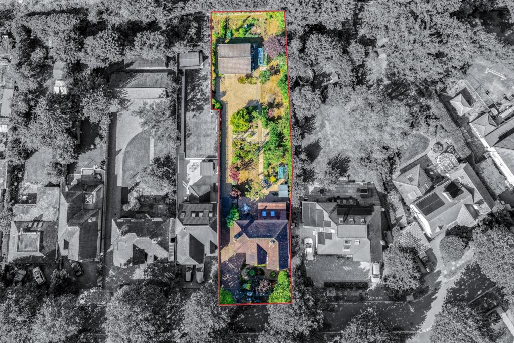 Ariel View