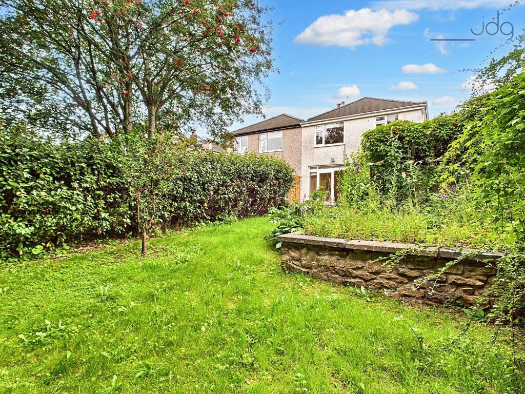 Rear of the Property