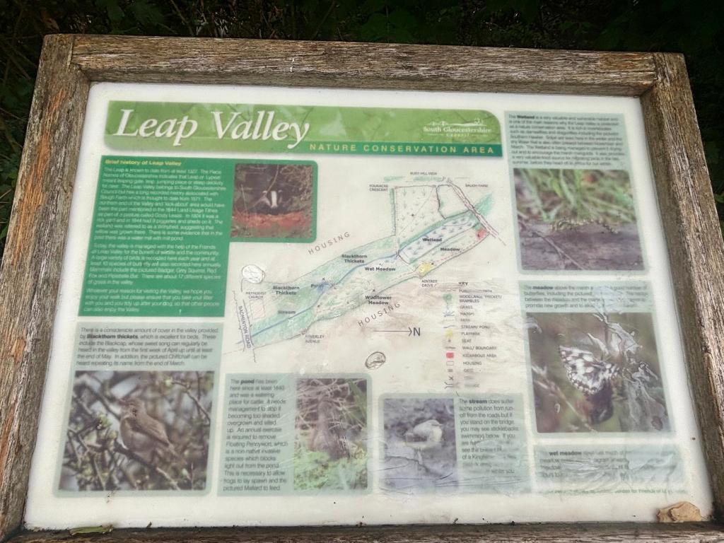 Leap Valley Conservation On Doorstep