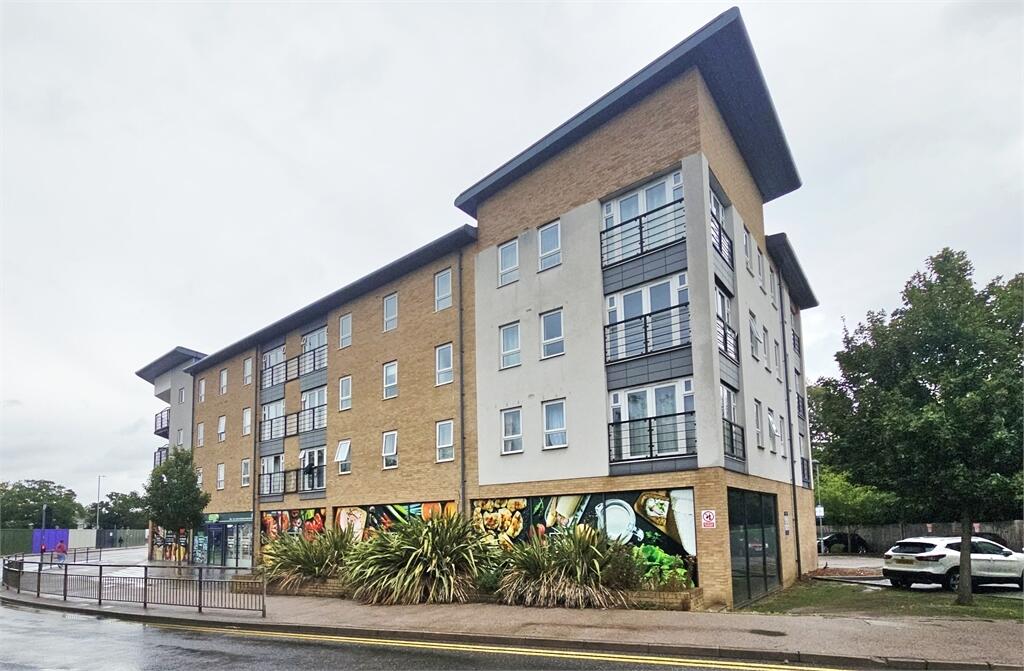 Main Image
