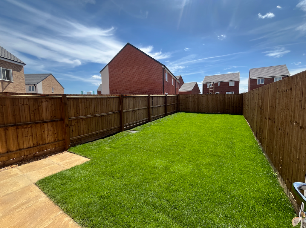 Back Garden 