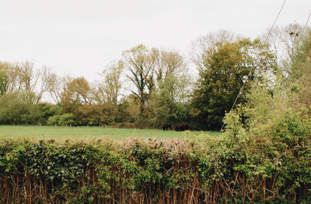 image00014.jpeg