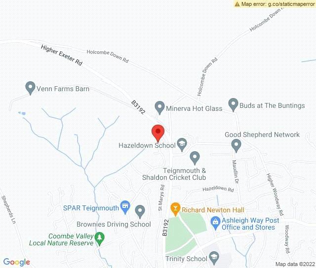 Google Maps Image