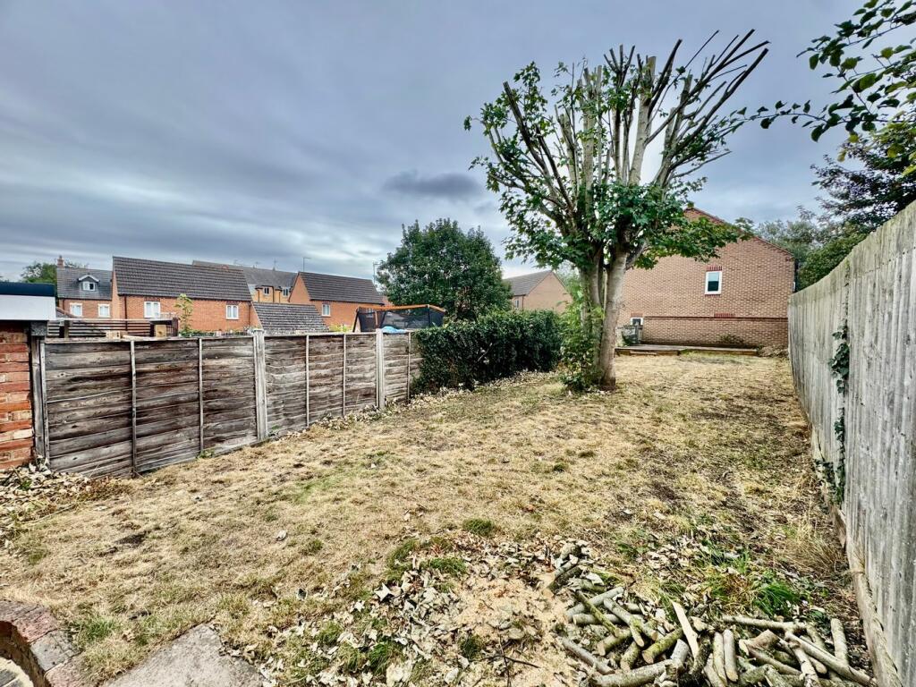 Lawn Area